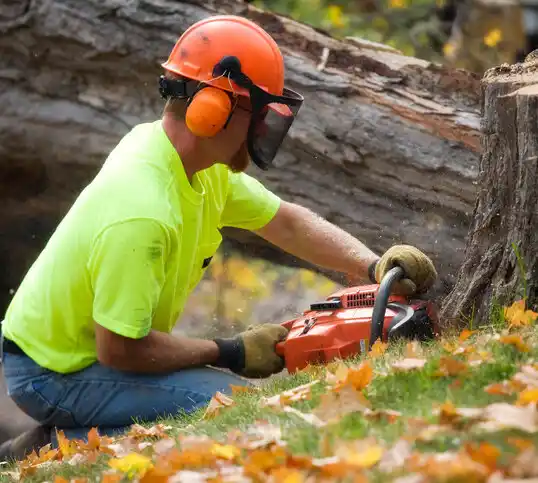 tree services Urbana